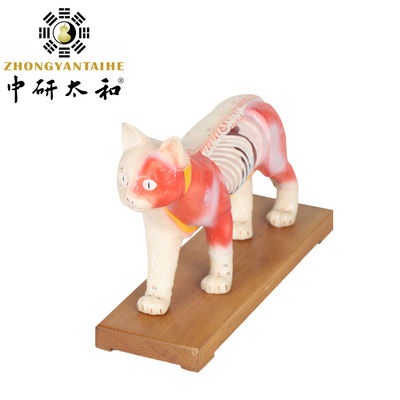 PVC модели тела иглоукалывания модели иглоукалывания кота 28cm китайский медицинский уча