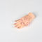 PVC модели китайского иглоукалывания модели пункта иглоукалывания руки 13cm уча